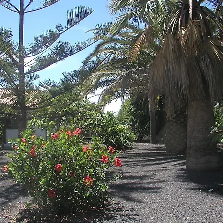 Casa Nerea